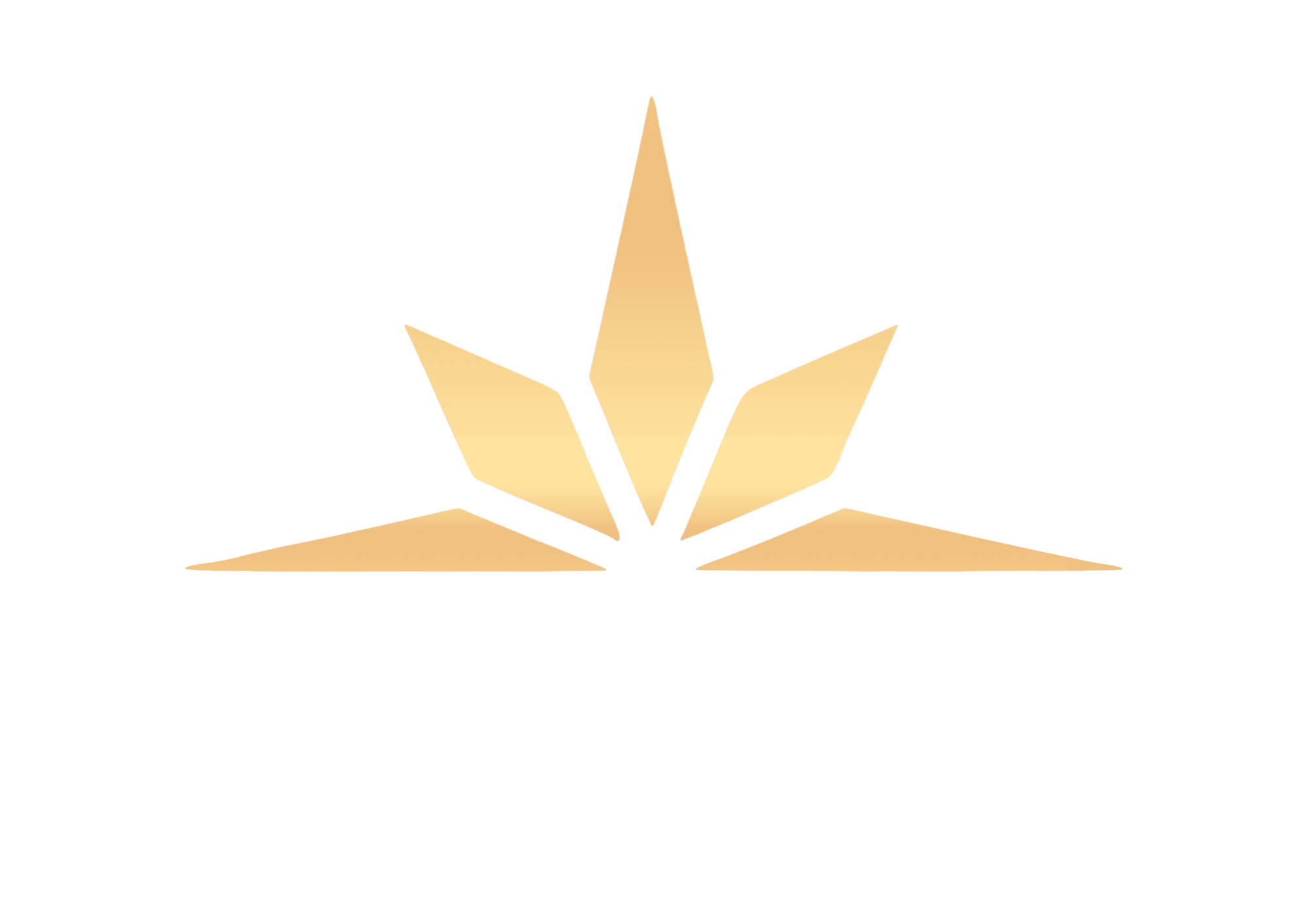 Dosier corporativo para Grupo Eurum (6)